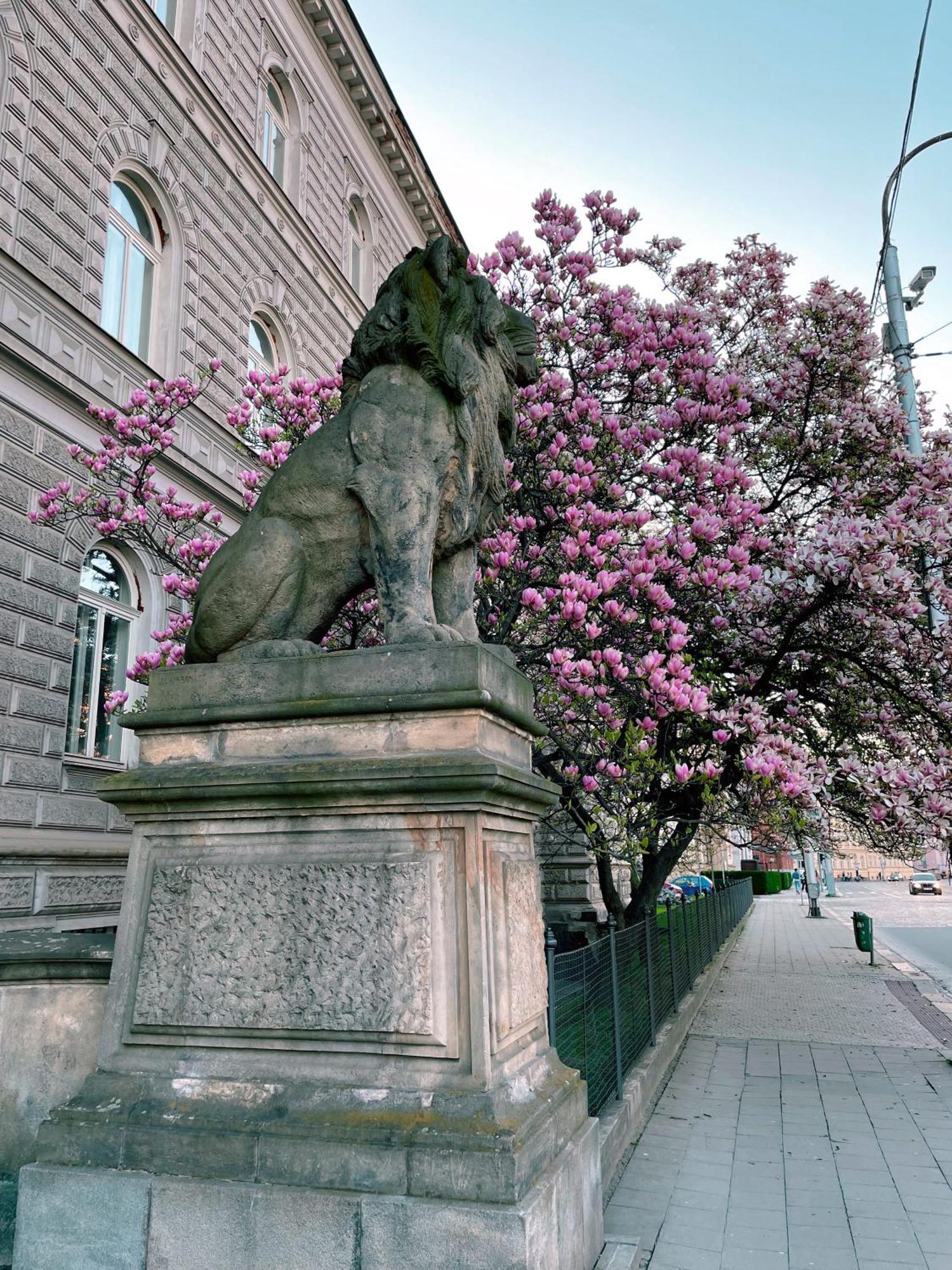 Pension Moravia Olomouc Exterior foto